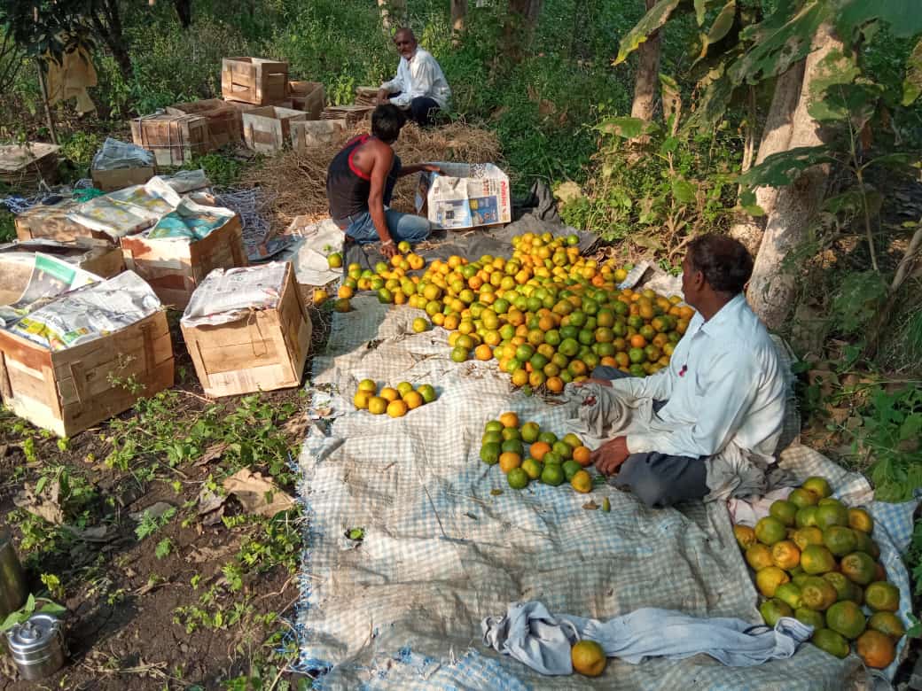 Our Victorious Students at Avishkar 2023