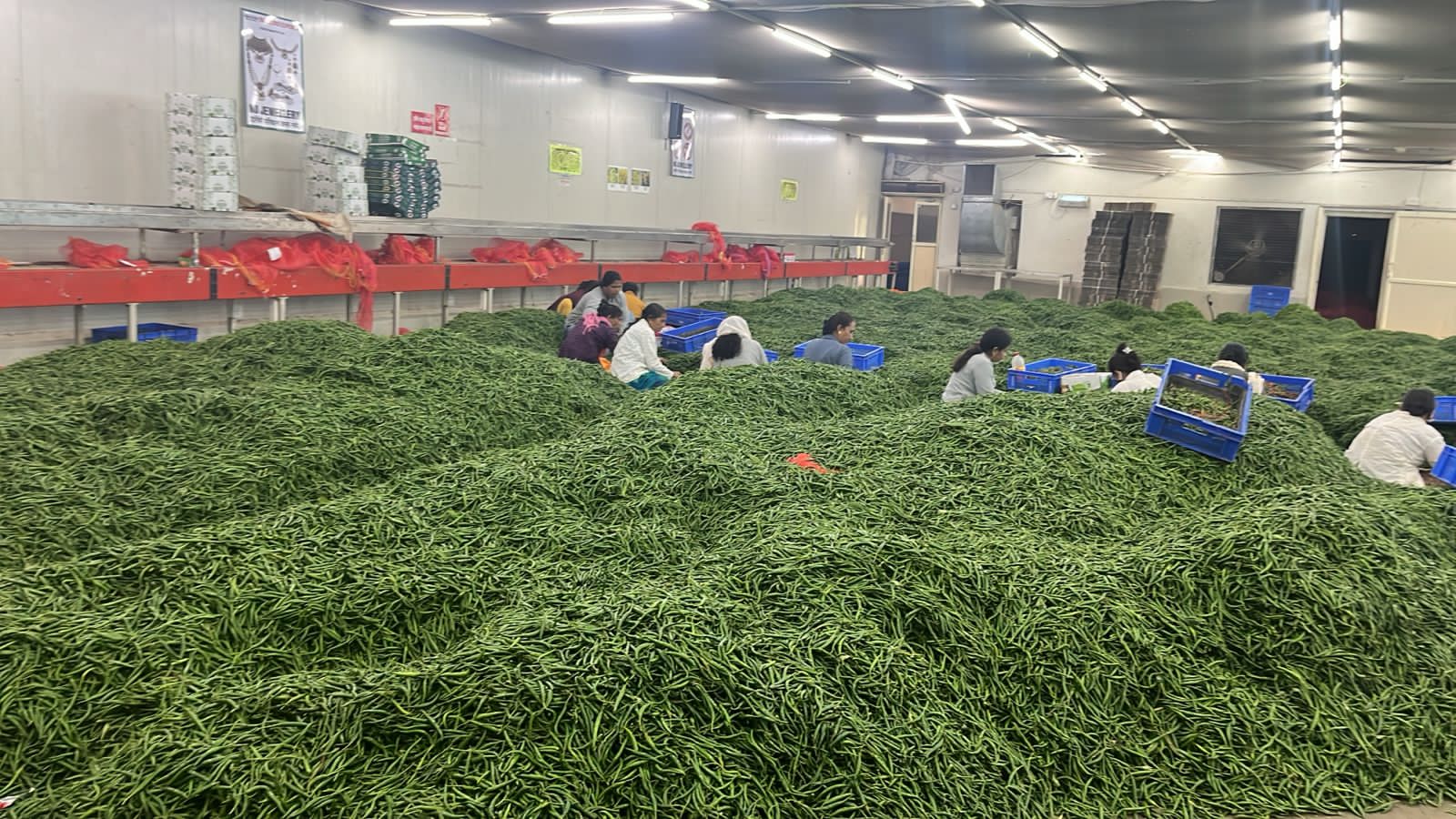 Our Victorious Students at Avishkar 2023